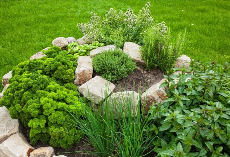 Vertical Gardening for Small Spaces: A Complete Beginner’s Guide