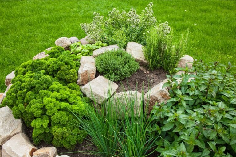 Low-Maintenance Garden Ideas